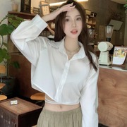 2024春季长袖简约衬衫女韩版小个子，设计感宽松百搭短款上衣潮