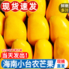 海南小台农芒果新鲜10斤水果当季现摘特产大果小芒果整箱甜芒