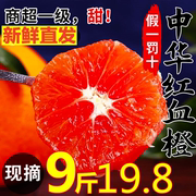 血橙9斤秭归中华红橙子新鲜水果，当季整箱红心甜脐手剥雪橙孕妇10