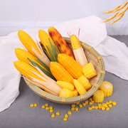 仿真玉米泡沫塑料假玉米水果蔬菜，模型白皮玉米玩具青皮玉米棒道具
