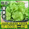 莴笋干自制农家好货干货500g脱水蔬菜包特产干菜莴苣干片商用