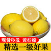 安岳新鲜黄(新鲜黄)柠檬，10斤皮薄多汁现摘现发奶，茶店专用一级中大果水果