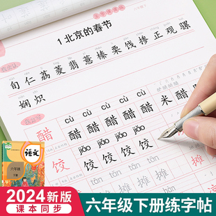 六年级上册下册练字帖人教版小学生语文同步正楷初学6每日一练钢笔字练字本写字课课练同步字帖楷书专用21天硬笔书法练习儿童临摹