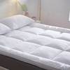 超软酒店床垫软垫家用租房专用10cm加厚1.2米超柔软床褥垫被褥子