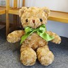 可爱泰迪熊抱抱熊公仔小熊玩偶布娃娃十彩熊毛绒玩具生日礼物