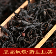 龙之青2023年云南秘境野生红茶滇红荒野古树茶花果浓香型散茶100g