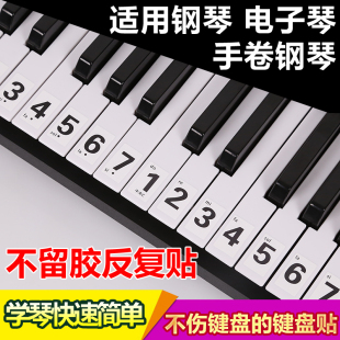 886154键，通用钢琴键盘贴纸电子琴，手卷钢琴琴贴五线谱简谱键位贴