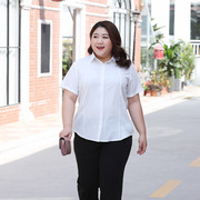 夏季韩版时尚大码翻领纯色衬衫，女短袖宽松型休闲衬衣，运动t恤