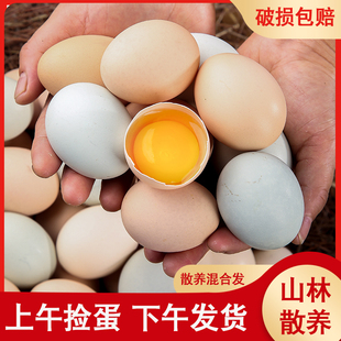 鸡蛋绿壳土鸡蛋农家散养1 4混合蛋笨柴鸡蛋孕妇乌鸡蛋40枚整箱禽