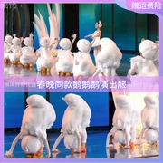 春晚鹅鹅鹅儿童演出服芭蕾，舞蹈服装2024原版，小黄鸭小天鹅幼儿园白