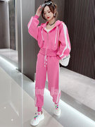 韩版高档休闲运动套装女秋卫衣时尚拉链开衫外套小脚裤两件套