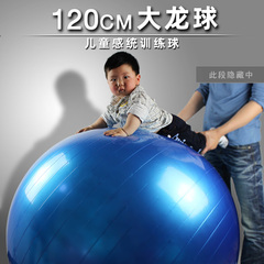 哈宇120cm儿童训练球防爆大龙球
