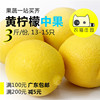 黄柠檬 3斤 新鲜四川安岳柠檬 农猫庄园 深圳水果配送 果汁奶茶店