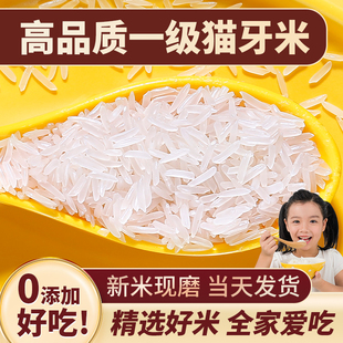 猫牙米长粒香米大米，2024年新米泰国香米丝苗米油粘10斤