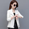 2023秋季海宁皮衣女士，短款韩版修身显瘦夹克西装，领白色小外套