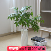 仿真绿植大型假植物客厅室内植物，造景装饰落地仿真南天竹氛围树
