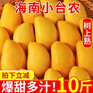 海南小台农芒果10斤新鲜小台芒，当季特产水果现摘芒果大果整箱
