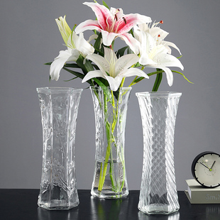 二件套玻璃花瓶透明水养富贵竹，百合水培插花摆件，客厅家用大号