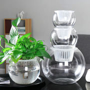 大号水培植物玻璃花瓶透明水养绿萝花盆容器插花瓶圆球形鱼缸器皿