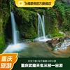 重庆旅游 武隆仙女山天生三桥龙水峡地缝乌江画廊一日游 小团纯玩