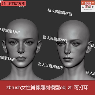 zbrush写实美女头部肖像脸部3d模型，zb皮肤五官雕刻雕塑模型可打印