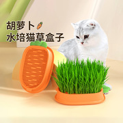 无土有机小麦猫草种子盒零食懒人种植猫草盆栽幼猫咪零食育苗盘