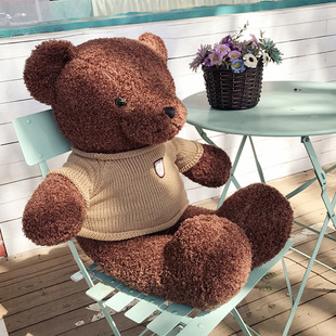 毛绒玩具玩偶狗熊抱抱熊公仔布娃娃可爱情侣大号泰迪熊抱枕礼物女