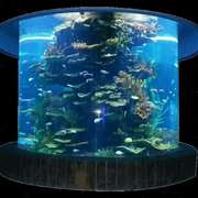 新办公室水族工程海水缸圆柱缸海洋缸实木超白玻璃金晶玻