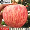 苹果水果新鲜当季整箱，山东烟台栖霞红富士，苹果10斤脆甜
