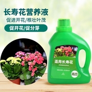 长寿花肥料营养液专用盆栽花肥家用植物花卉养花促花通用型
