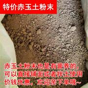 急速种花陶粒蛭石陶粒营养土营养液肥料多肉植物基质育苗块园