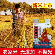 5kg10斤东北五常，稻花香大米农家，米不抛光胚芽米真空长粒香米