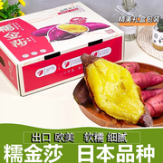 糯金莎蜜薯日本引进红薯黄心新鲜番薯甜糖心烤地瓜玛莎莉地瓜榴莲