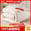 新疆棉被纯棉花被子冬被单人全棉被芯手工，床垫被褥子棉胎长绒双人