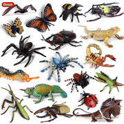 儿童科教仿真动物模型整蛊玩具昆虫摆件沙盘场景万圣节蜘蛛套装