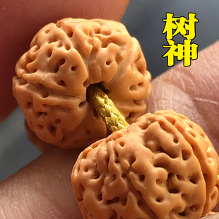 蜂窝树神小金刚菩提108颗佛珠手链男士女，文玩菩提子手串项链56瓣