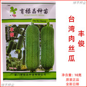 丰俊台湾肉丝瓜种子杂交短棒型硬度好耐运输春秋季水瓜肉丝瓜种孑