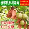 猕猴桃专用套袋水果纸，袋子育果袋包装防水防虫晒防鸟24年