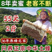 蜂蜜农家自产纯正天然野生洋槐枣花蜜糖孕妇儿童正宗土蜂蜜无添加