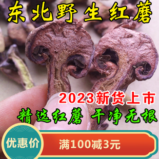 2023年东北特产红蘑菇野生干货 松蘑 肉蘑松伞蘑 红蘑食用菌