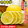 四川安岳黄柠檬9斤新鲜水果奶茶饮品店专用当季整箱香水青柠檬