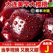 j级大连美早樱桃，新鲜水果车厘子国产大摘发礼盒