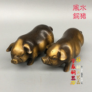 纯铜招财猪风水摆件生肖猪，一对铜猪家居装饰工艺品，富贵招财铜猪