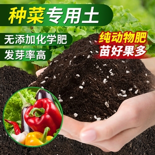 营养土种菜专用土壤，种植土蔬菜阳台种菜椰砖黑肥料果蔬有机泥土
