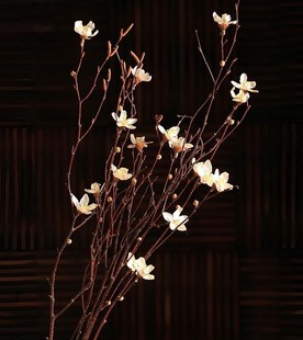 桃花落地干花树枝树枝，装饰干花枝干花花束真花干枝，干花客厅装饰