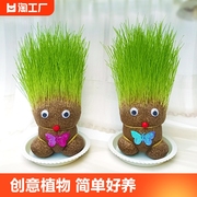 创意长草娃娃小盆栽草头娃娃桌面绿植礼物水培儿童种植小植物迷你