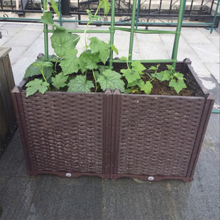 今森特深款葡萄果蔬种植箱家庭有机蔬菜种植槽阳台种菜盆花盆花箱