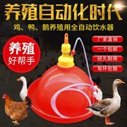 加厚普拉松养鸡鸭鹅用自动饮水器喂水器加水壶，养鸡设备养殖用品