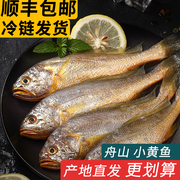 舟山特产小黄花鱼新鲜冷冻烧烤小黄鱼生鲜海鱼海鲜海鱼水产品商用