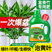 富贵竹营养液水培植物专用肥料转运观音竹子家用专治黄叶养花通用